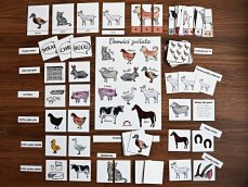 Domácí zvířata - sada 15 aktivit (pdf)