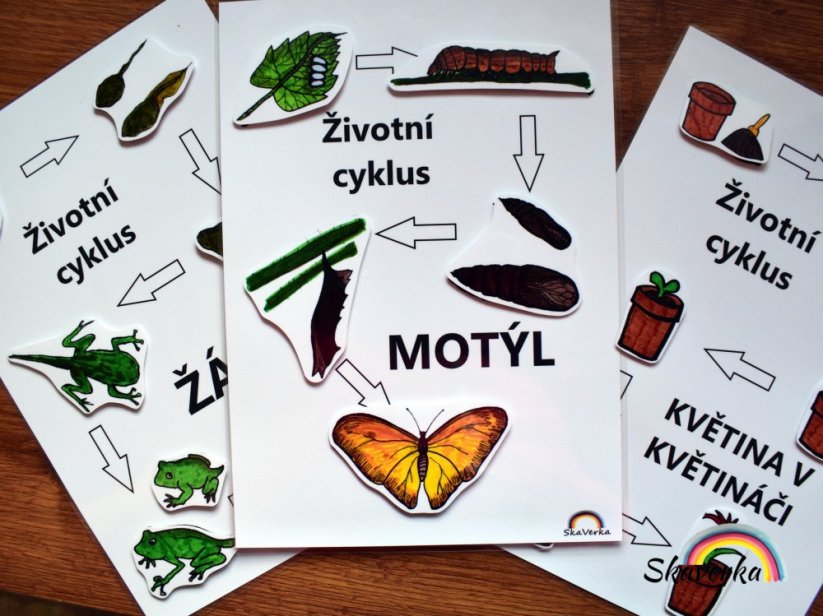 Sada 3 životních cyklů - stíny (PDF)