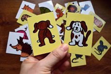 Zvířátka ze všech stran