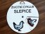 Životní cyklus v kolečku – Slepice