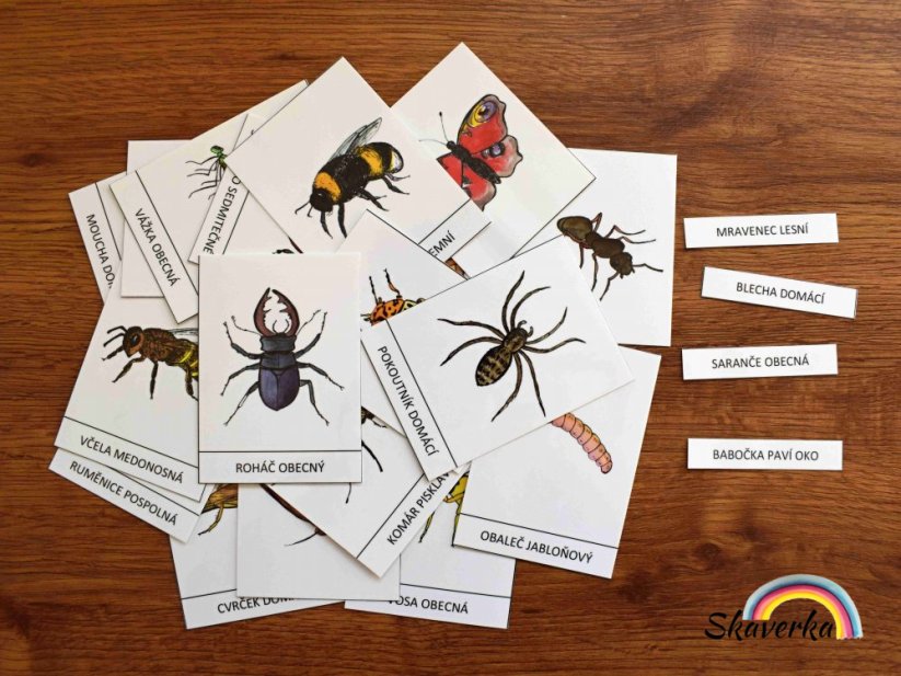Výukové karty - Hmyz (pdf)