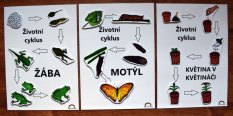 Sada 3 životních cyklů - stíny (PDF)