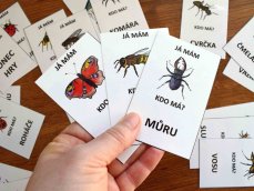 Hra Já mám, kdo má? – Hmyz