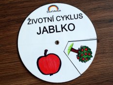 Životní cyklus v kolečku – Jablko