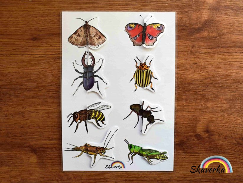 Spoj poloviny obrázků - Hmyz (pdf)
