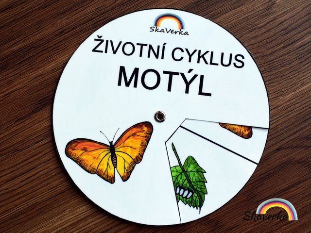 Životní cyklus v kolečku - Motýl