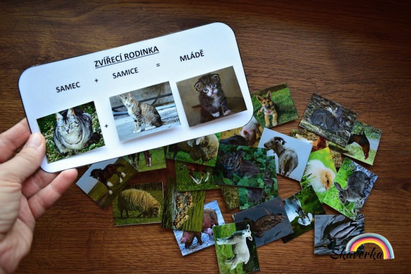 Zvířecí rodinky – farma