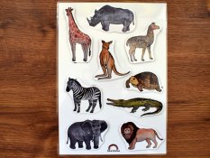 Hledej stíny – Zvířata ze zoo